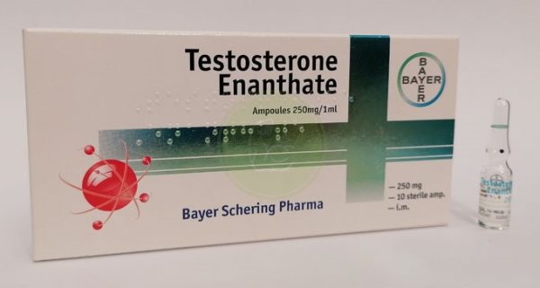 Testosterone Enanthate 250mg Bayer